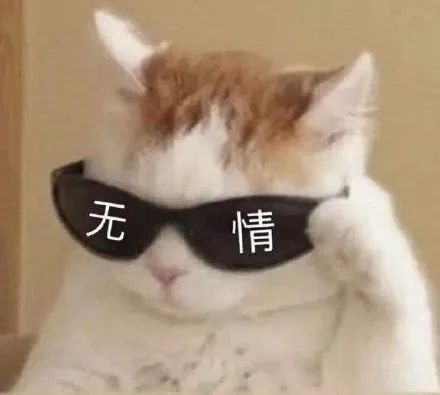 如果可以重返大一,我一定要做这件事