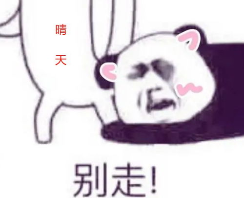 岂不美哉表情包情侣聊天