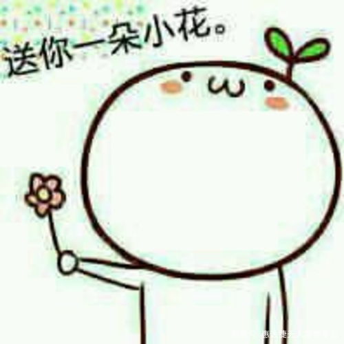 鲜花,为生活多添一份色彩