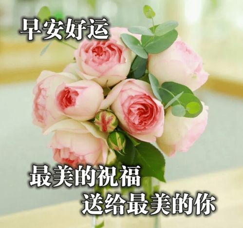 夏天早上好问候语动态图片大全六月早上好祝福表情包