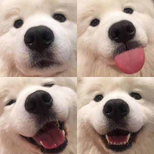 numpy包