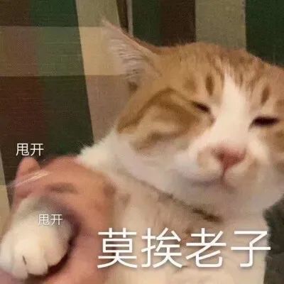 有个这样的姐姐,也太不省心了