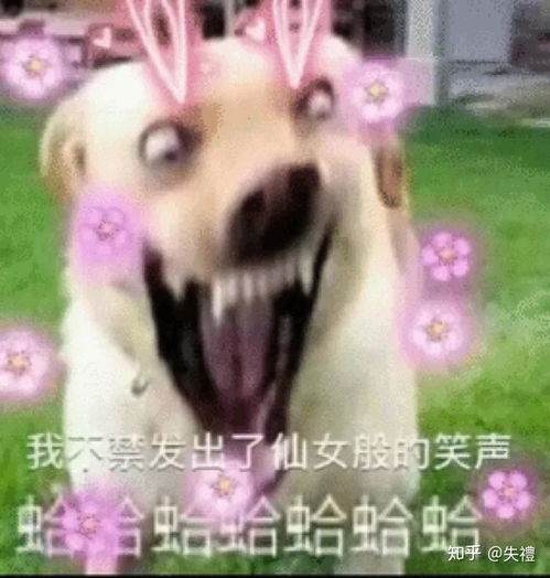男生喝醉酒后打电话的一定是最爱的人吗