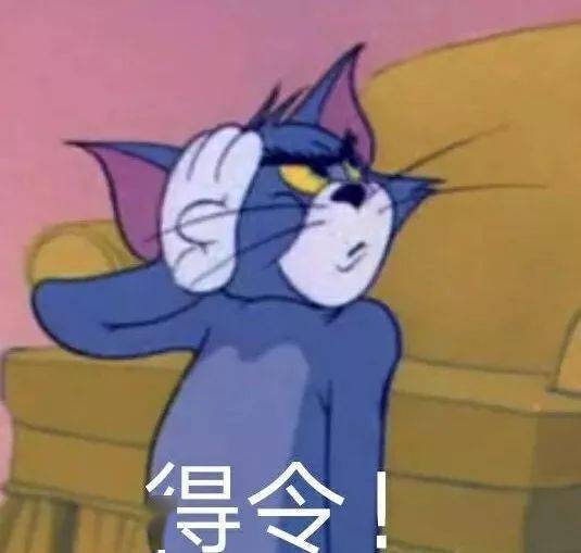 猫和老鼠表情包睡吧别骚了