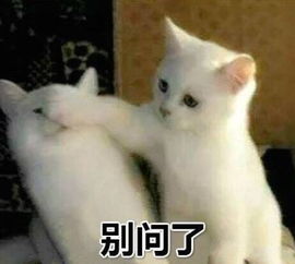 8成人工作10年月薪没过万苏州这10类人工资最高