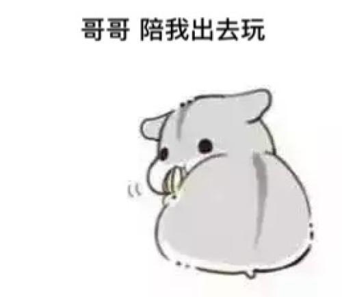 笑话弟弟失恋,收拾行李说要到外面清静几个月,可中午回来了段子
