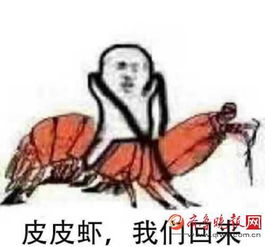 皮皮虾我们走是什么梗和皮皮猪我们走什么关系皮皮虾我们走表情包无水印