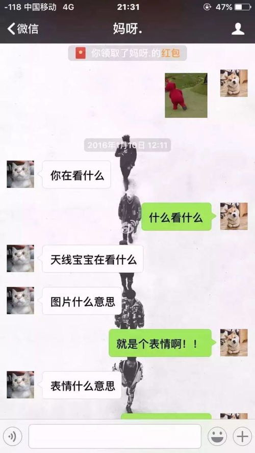 有一种代沟,叫爸爸妈妈的微信表情包