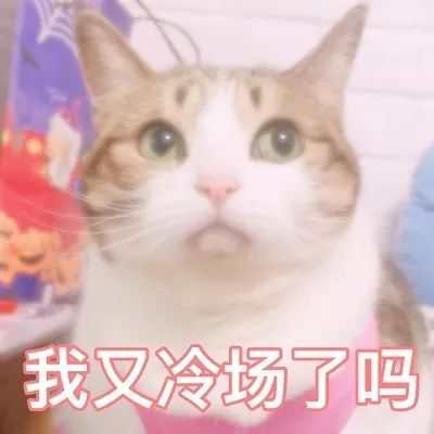 喵喵表情包