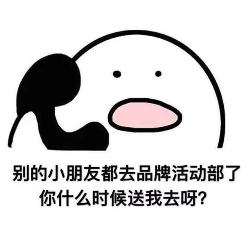 校会招新对外交流中心