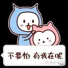 十个理由,让程序员成为2018最抢手老公