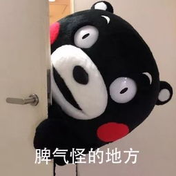过去一年我得罪的人,我想对你说
