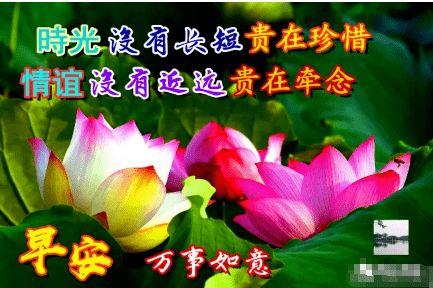 早上好表情包中老年人问候
