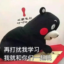 高考后,95后的青年都在干什么