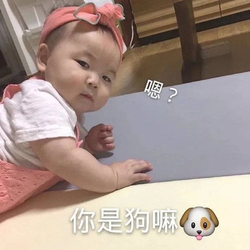 表情包早啊,今天也是爱你的一天