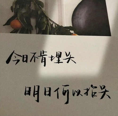 爱你这局我真的尽力了文案