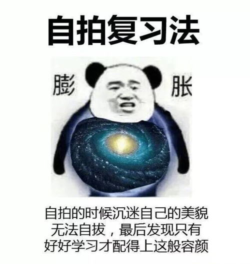 521图片表情包复习法