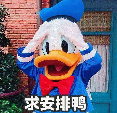 p2p车上的还能不能再抢救一下鸭
