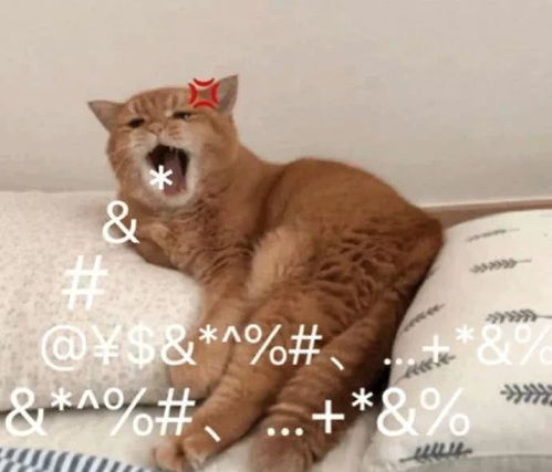 再见2019