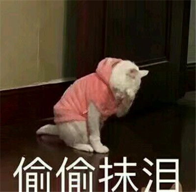 突然有人说你帅怎么办用表情包回他看什么看,死靓仔