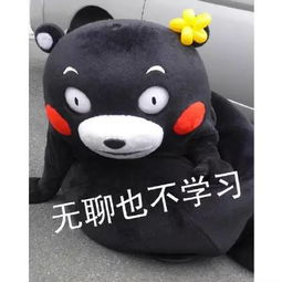 我的心里只有学习