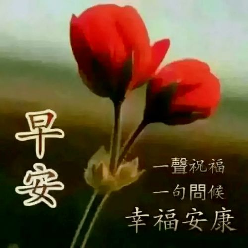 早晨微信问候表情图早安