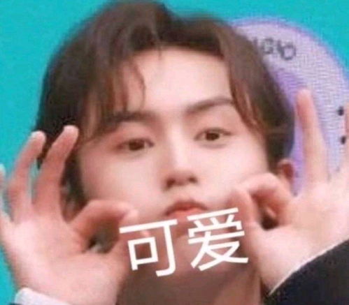 龚俊抱张哲瀚下马