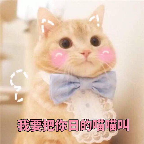 我的收藏