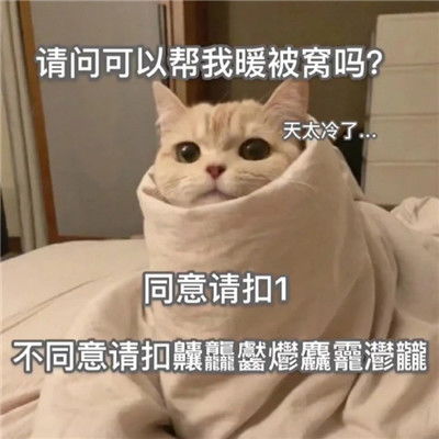 女朋友很傲娇的发给男朋友的表情发给男朋友的连串表情包
