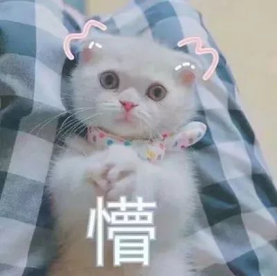 超级凶猛的台风快来了,福州却蓝得可怕