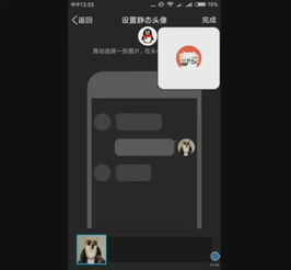 qq头像大不同,自带freestyle背景乐的酷炫头像