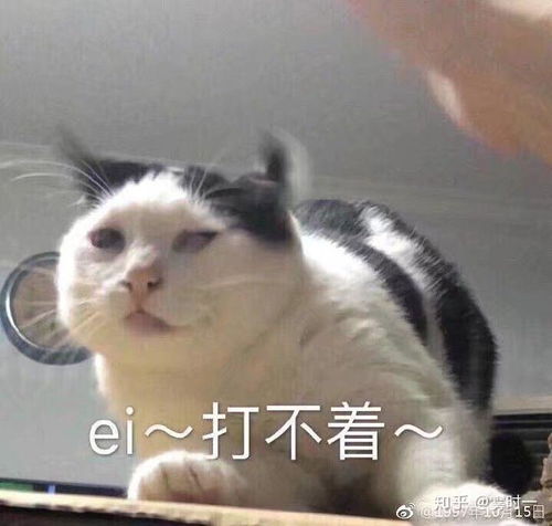 表情包滚地大哭