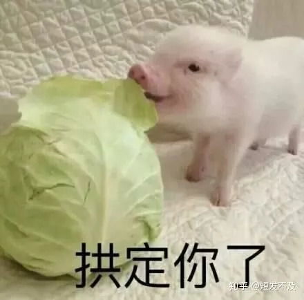 这个兵哥哥的土味情话视频我看了七遍太可爱了哈哈哈哈