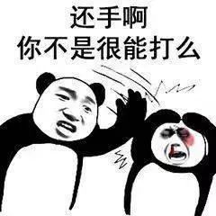 熊猫头武林高手表情包尽管放马过来吧