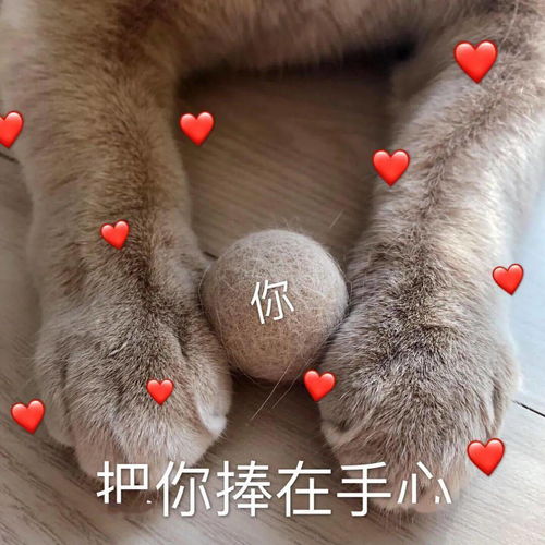 表情包说了半天,你就这水平
