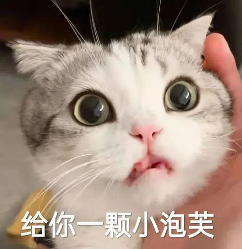 你不行啊小老弟表情包给跪