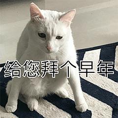 大尾巴狼的相册表情包丑白毛33