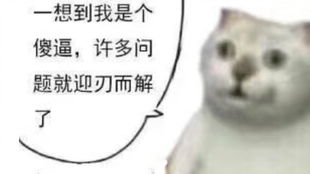 我暑期实践怎么跟我想的不一样