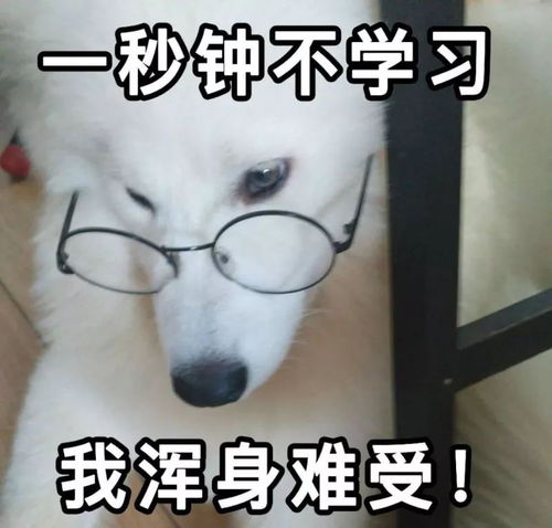 一大波暑期表情包来袭,哪一个更适合你斗图走起来
