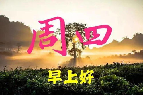最新周四愉快早上好表情包,好好照顾自己,记得吃早餐