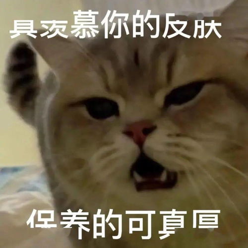 让我看看,可爱沙雕表情包谁不想要