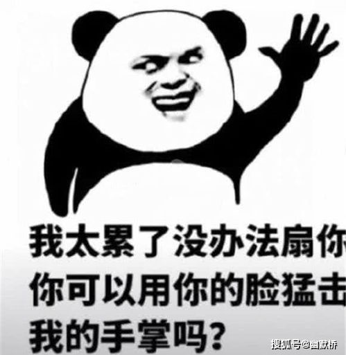 熊猫头怼人表情包雾散了,云飘了,你又开始叫嚣了