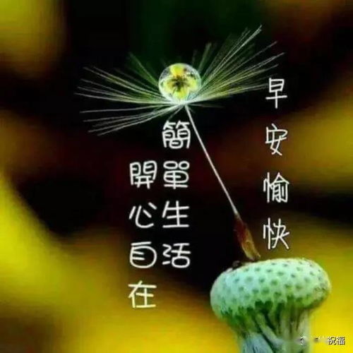 生活是开水,不论冷热,只要适合的温度,就是最好的早安未来