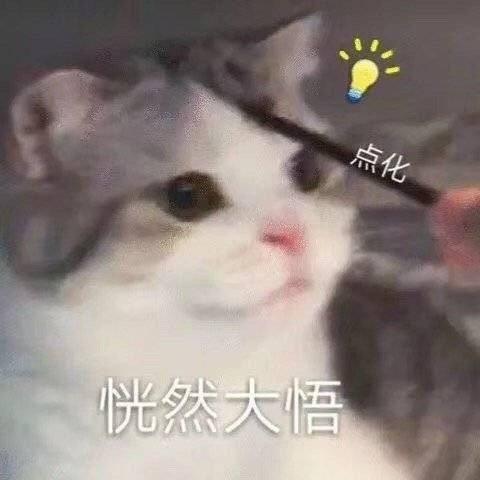 表情包面对疾风吧