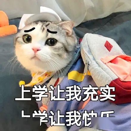 贵州中小学生下周网课课表来了还有幼儿园小朋友的游戏表