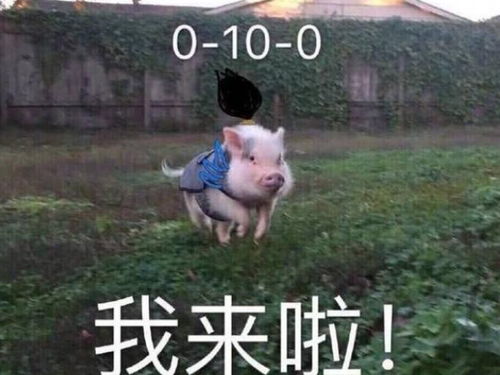 lol设计师疯了,亚索获得史诗加强,网友快乐多10倍