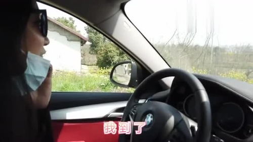 湖北终于解放了,是时候出去浪一下