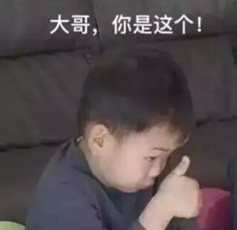 让高圆圆莫文蔚爱的死去活来,但他却长成这个样,凭啥