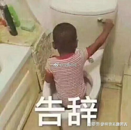 头发硬有粗又是自来卷能剪短发吗