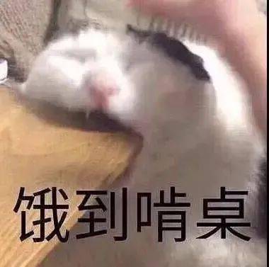 没见过这样的表情包哈哈哈...